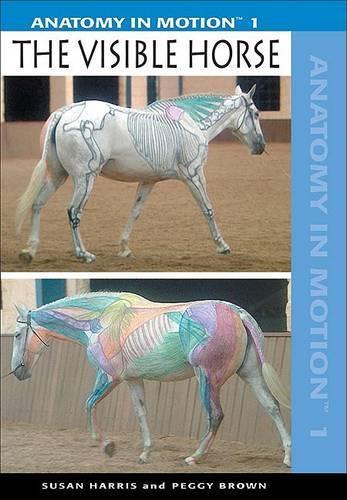 Visible Horse: Anatomy in Motion