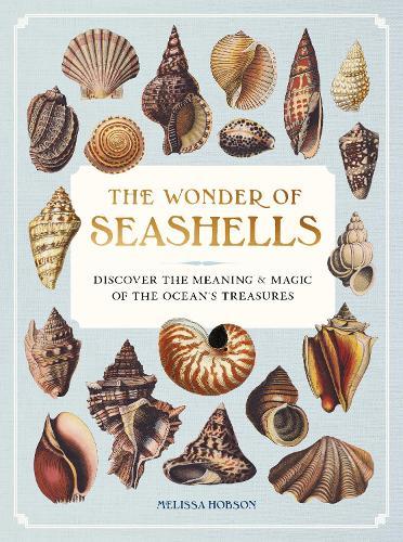 The Wonder of Seashells: Discover the Meaning & Magic of the Ocean’s Treasures