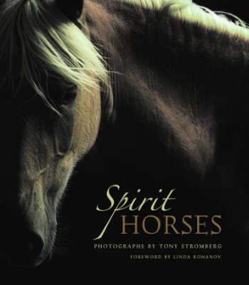 Spirit Horses