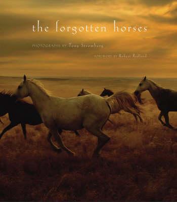 The Forgotten Horses