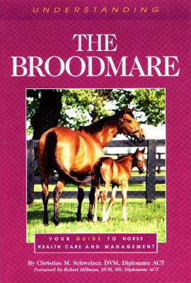 Understanding the Broodmare: Your Guide to Horse Health Care and Management