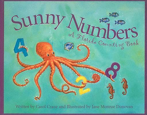 Sunny Numbers: A Florida Count