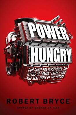 Power Hungry: The Myths of  Green Energy, and the Real Fuels of the Future