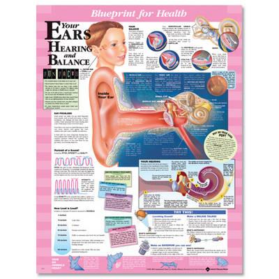 Blueprint for Health Your Ears Chart