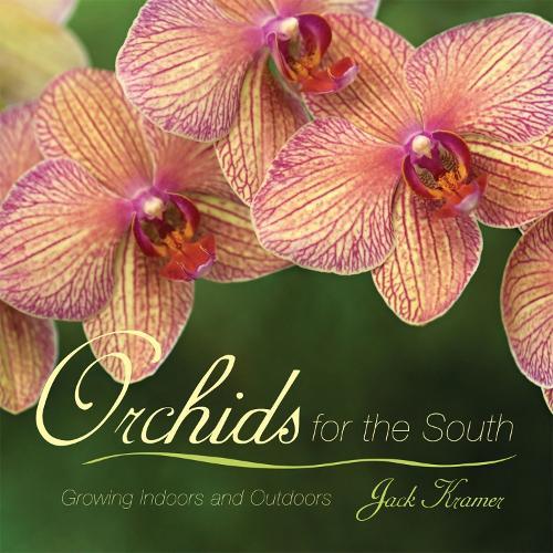 Orchids for the South: Growing Indoors and Outdoors