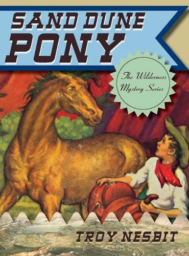Sand Dune Pony