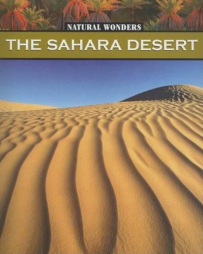 The Sahara Desert: The Largest Desert in the World