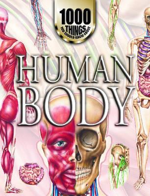 Human Body