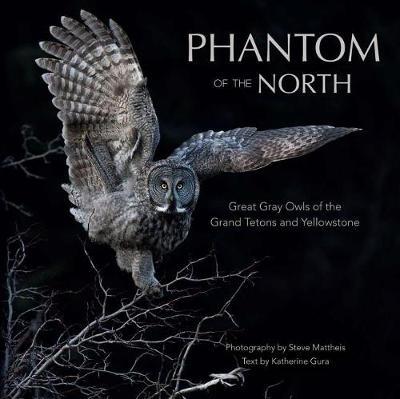 Phantom of the North: Great Gray Owls of the Tetons and Yellowstone