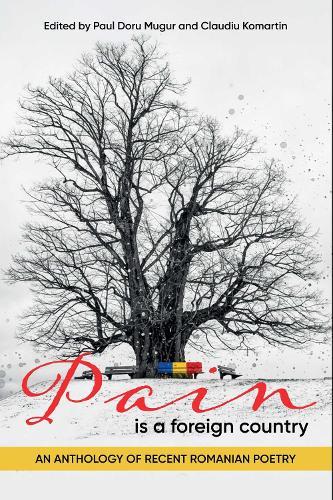 Pain Is a Foreign Country: An Anthology of Recent Romanian Poetry
