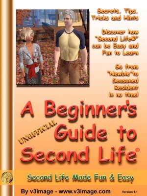A Beginner's Guide to Second Life