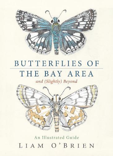 Butterflies of the Bay Area and (Slightly) Beyond: An Illustrated Guide