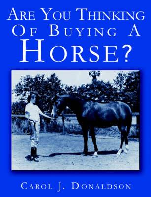 Are You Thinking Of Buying A Horse?