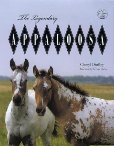 Legendary Appaloosa