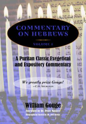 Commentary on Hebrews: Exegetical and Expository - Vol. 1 (Heb. 1-7)