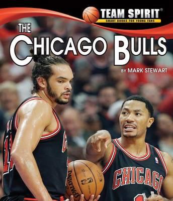 The Chicago Bulls