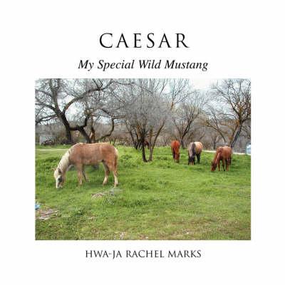 Caesar: My Special Wild Mustang