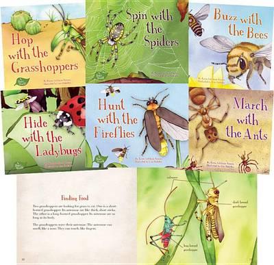 A Bug's World