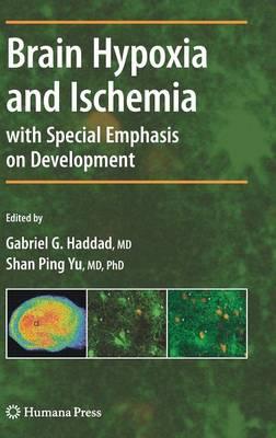 Brain Hypoxia and Ischemia