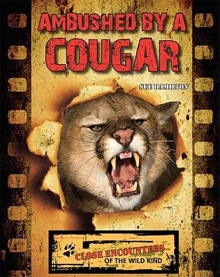 Ambushed by a Cougar