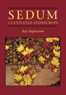 Sedum