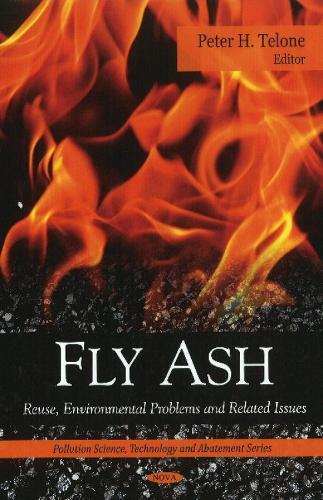 Fly Ash: Reuse, Environmental Problems & Related Issues
