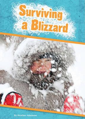 Surviving a Blizzard
