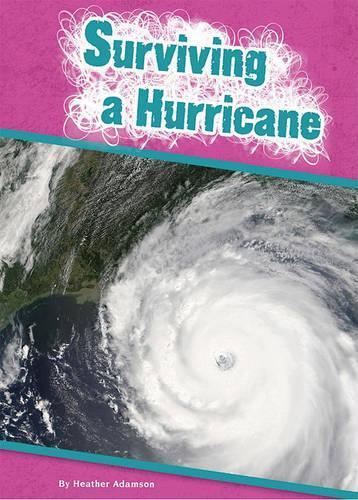Surviving a Hurricane