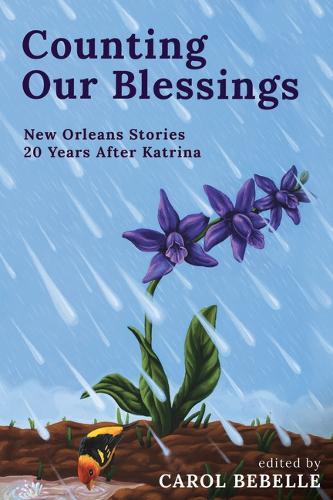 Counting Our Blessings: The Other Katrina Stories