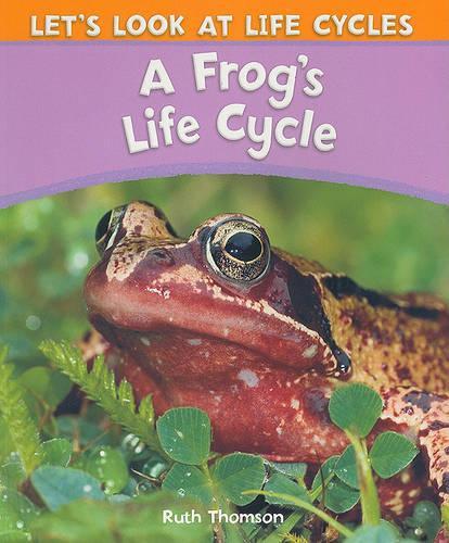 A Frog's Life Cycle
