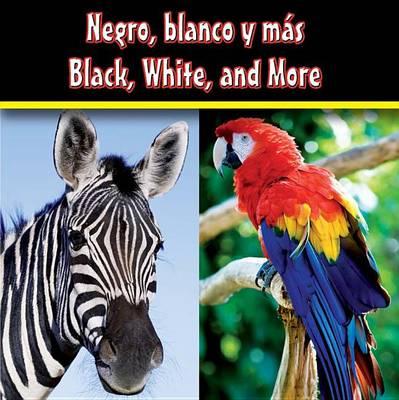 Negro, Blanco Y Mas: Black, White, and More