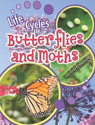 Butterflies and Moths
