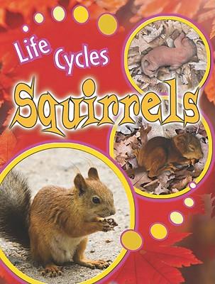 Squirrels