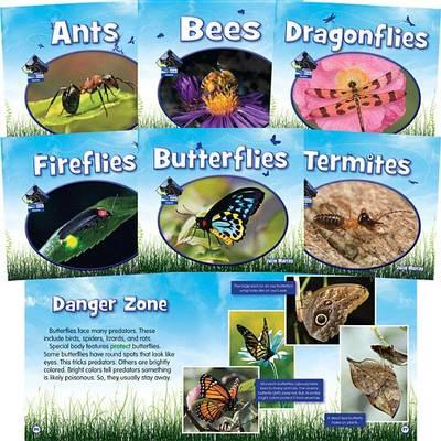 Insects