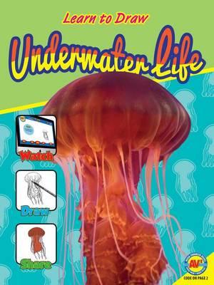 Underwater Life