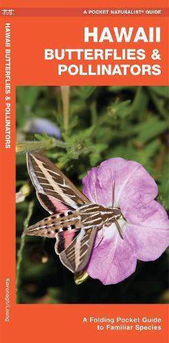 Hawaii Butterflies & Pollinators: A Folding Pocket Guide to Familiar Species