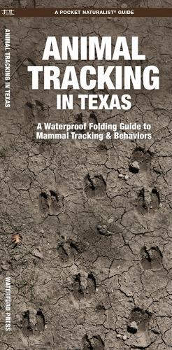 Animal Tracking in Texas: A Folding Pocket Guide to Mammal Tracking & Behaviors