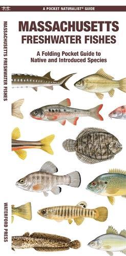 Massachusetts Freshwater Fishes