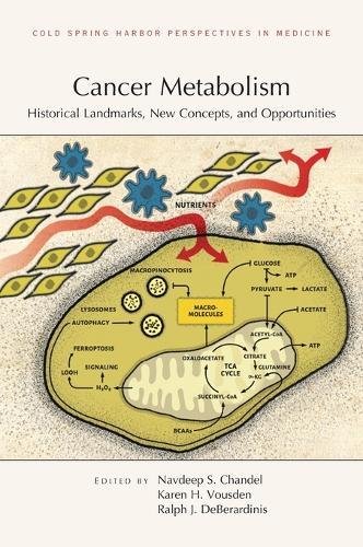 Cancer Metabolism: Historical Landmarks, New Concepts, and Opportunities