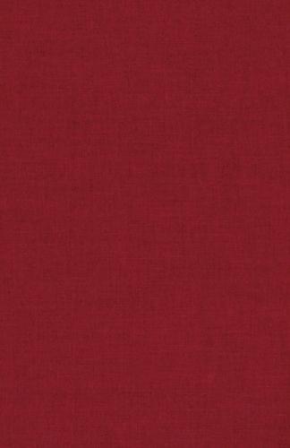 Afro-Latino Voices: Shorter Edition: Translations of Early Modern Ibero-Atlantic Narratives