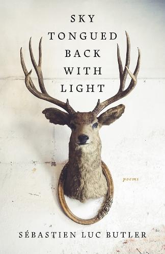 Sky Tongued Back With Light