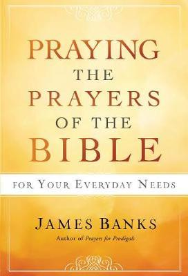 Praying the Prayers of the Bible for Your Everyday Needs