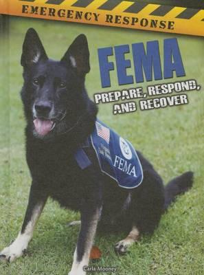 Fema: Prepare, Respond, and Recover