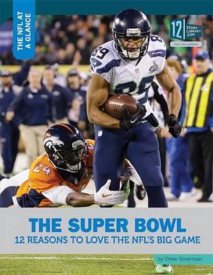 The Super Bowl: 12 Reasons to Love the Nfl's Big Game