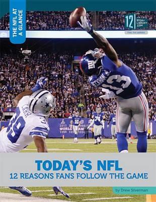 Today's Nfl: 12 Reasons Fans Follow the Game