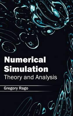Numerical Simulation: Theory and Analysis