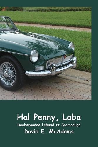 Hal Penny, Laba: Sida hal penny oo Maraykan ahi ugu noqday US$41,943.04 muddo 23 maalmood oo keliya ah