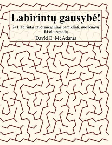Labirintų gausybe!: 241 labirintas tavo smegenims pamiklinti, nuo lengvų iki ekstremalių