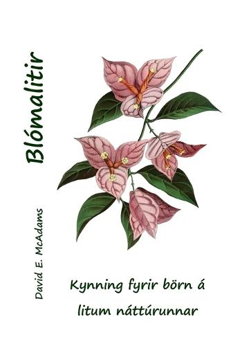 Blómalitir: Kynning fyrir börn á litum náttúrunnar