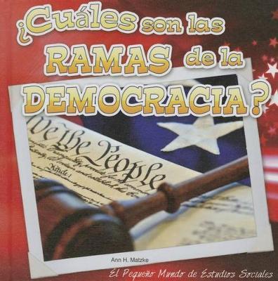 ?cuales Son Las Ramas de la Democracia?: What Are the Branches of Democracy?